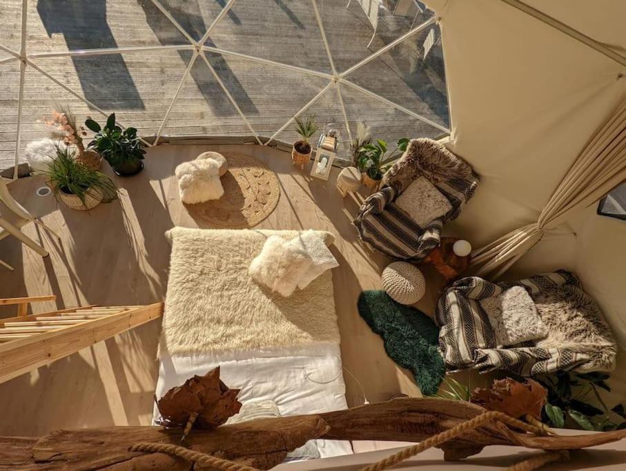 Hotel Beautiful Located Dome Wapnica  Esterno foto