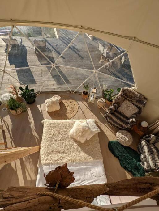 Hotel Beautiful Located Dome Wapnica  Esterno foto